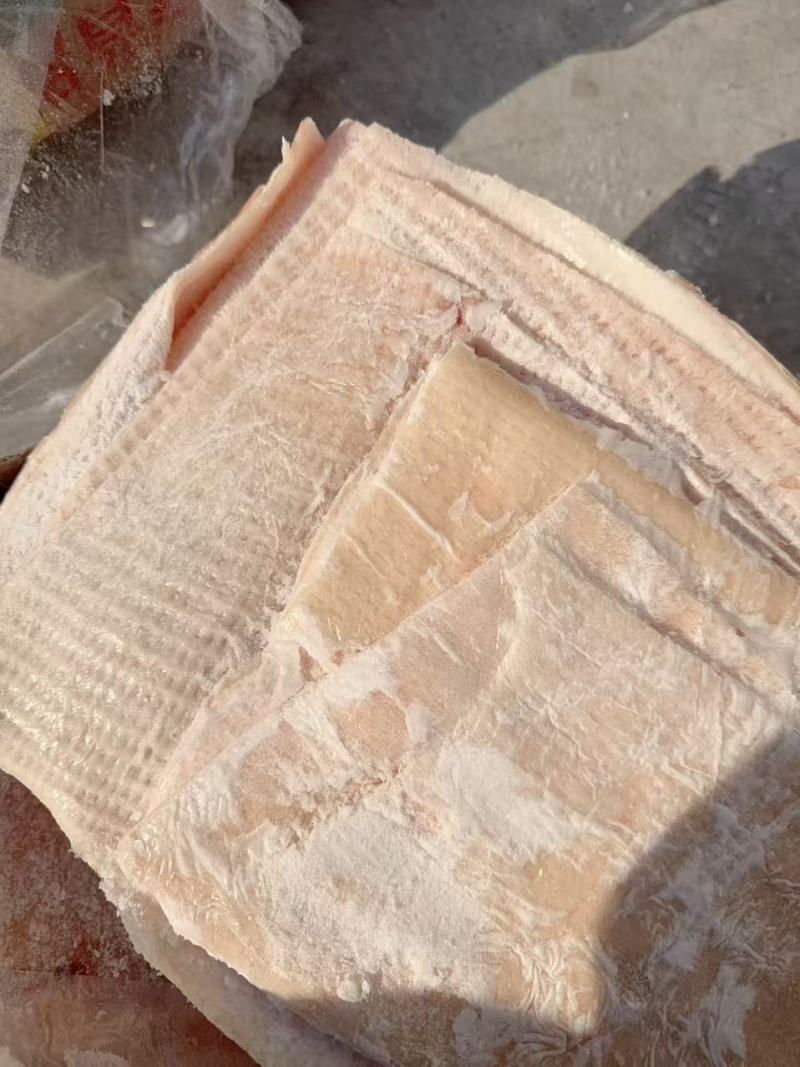 猪脊背皮，新货，宽猪皮