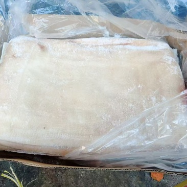 猪脊背皮，新货，宽猪皮
