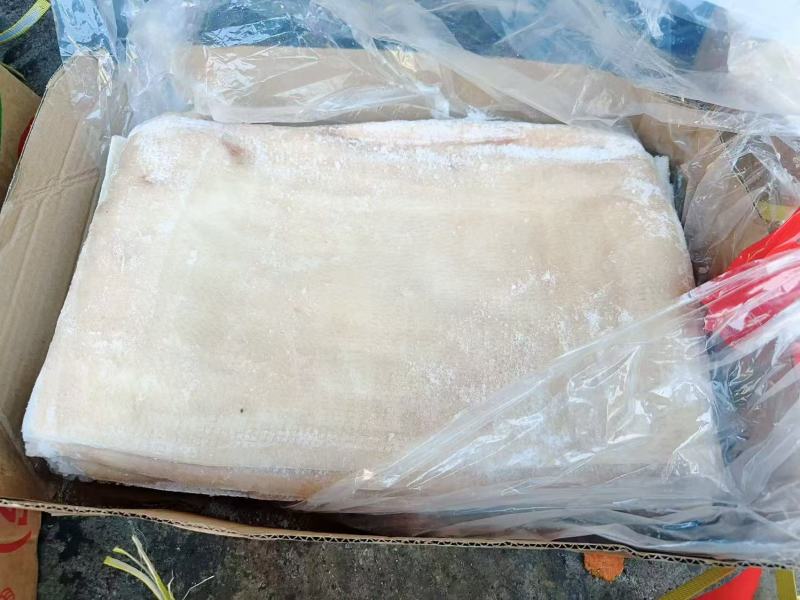 猪脊背皮，新货，宽猪皮