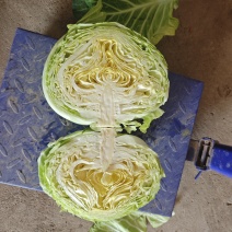 豫艺水果包菜，三斤左右。
