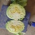 豫艺水果包菜，三斤左右。