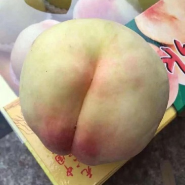 水蜜桃