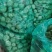 精品上海青每袋20斤