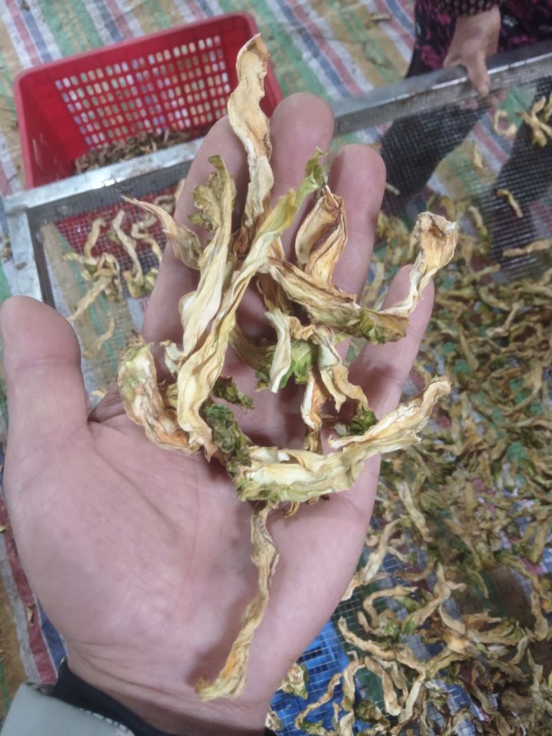 儿菜干