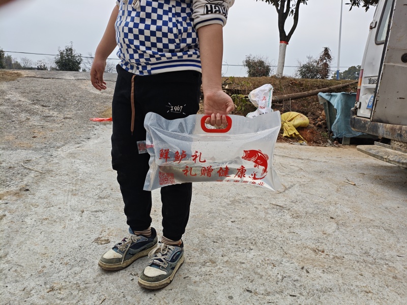 皮靓体匀加州鲈鱼谈水鲈鱼