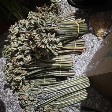 贵州高山野生蕨菜，没有老根，细干，精品蕨菜