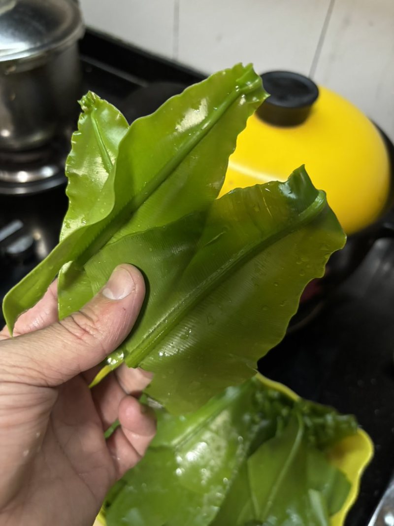 台湾山苏，现摘，新鲜，脆。顺丰快运。