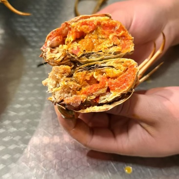 泗洪大闸蟹