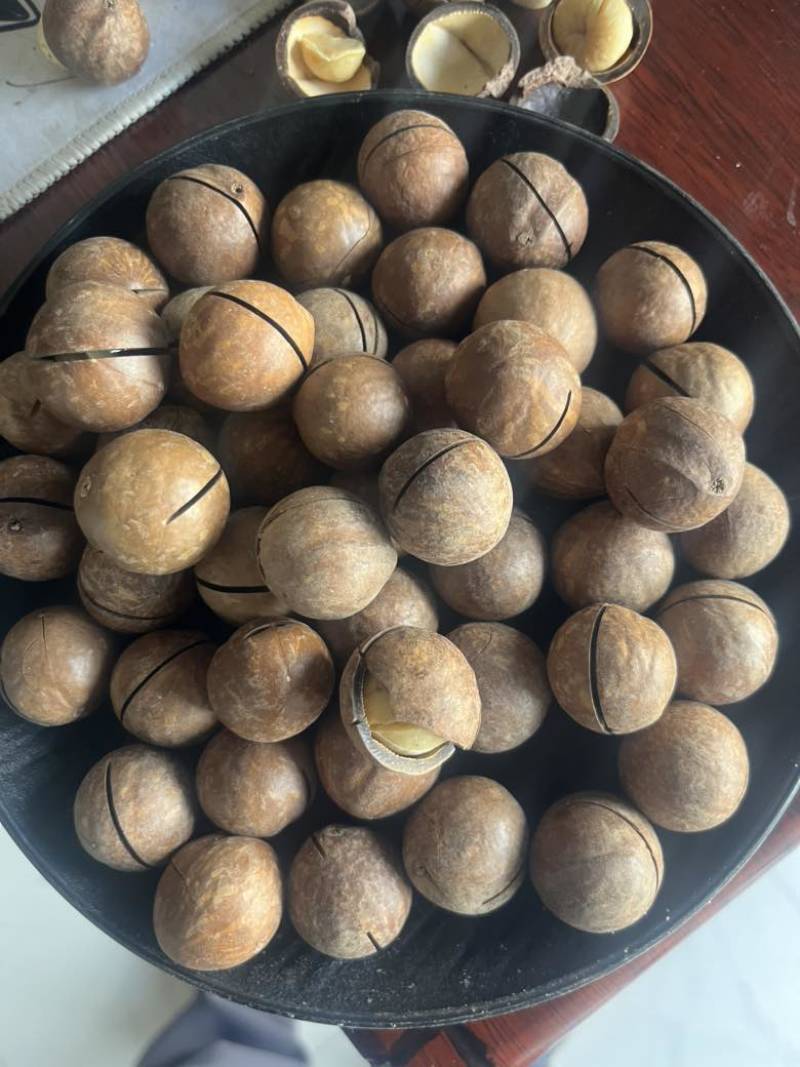 *后9吨云南瑕疵夏威夷果