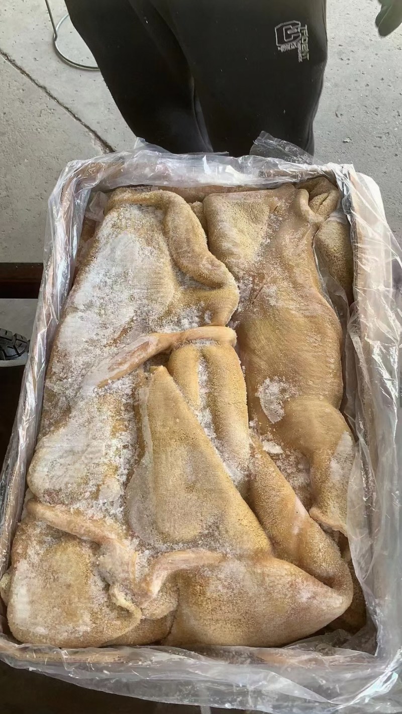 牛肚