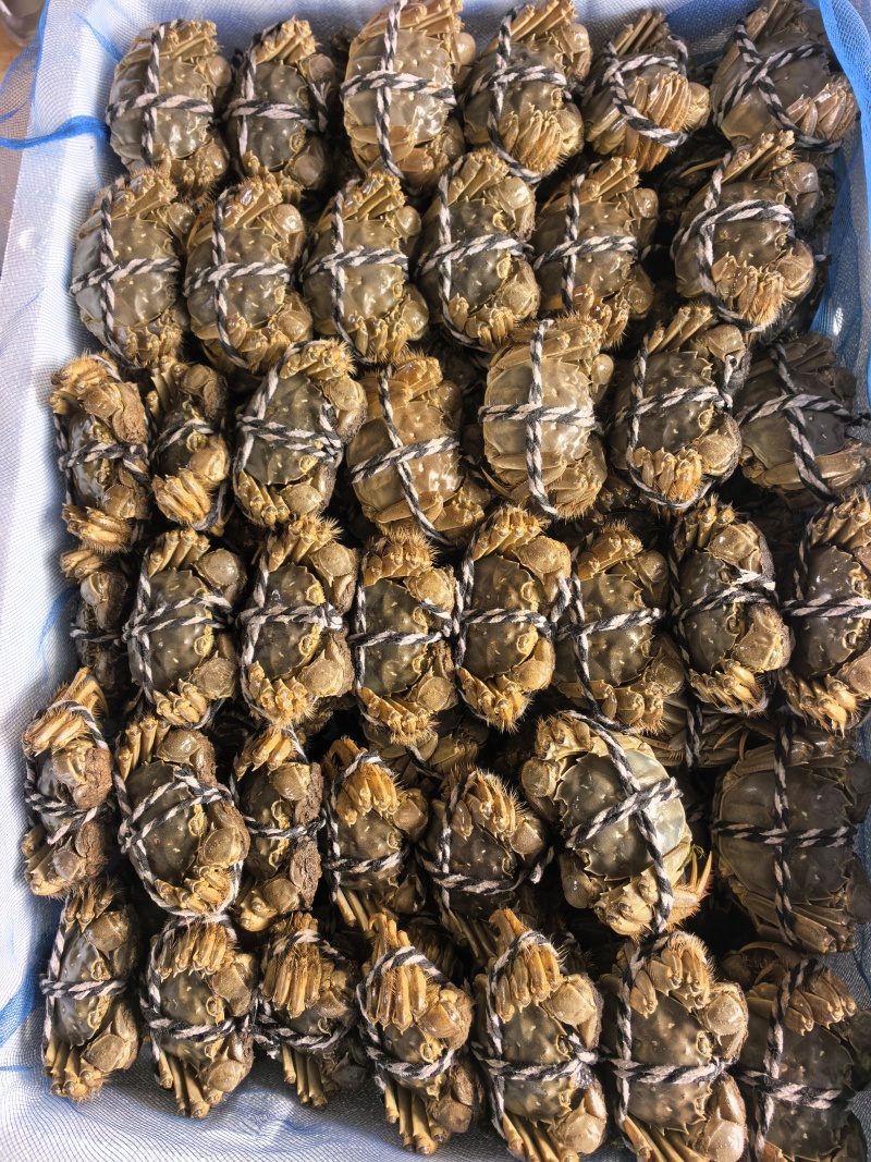 大闸蟹规格齐全