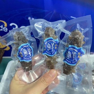 威海即食海参，3.99一只