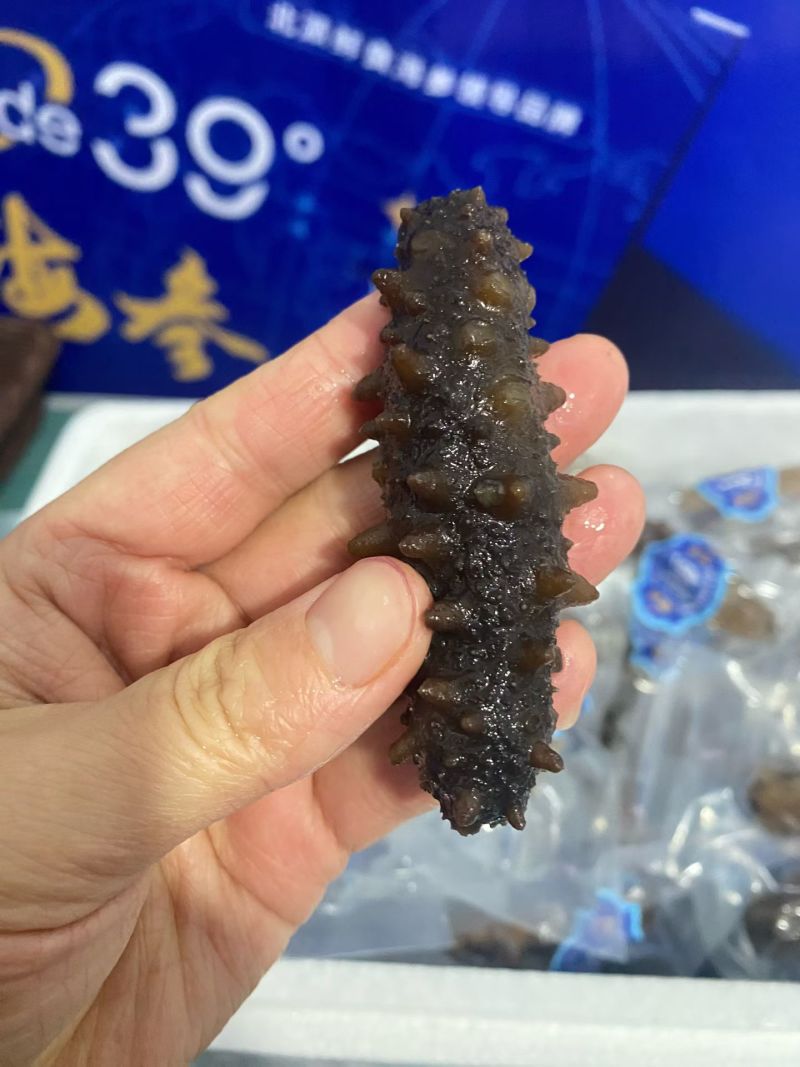 威海即食海参，3.99一只