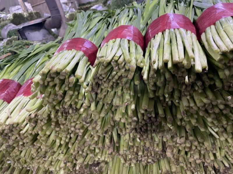 寿光精品韭菜，每天现割现收现包装，当天发货，质量嘎嘎好