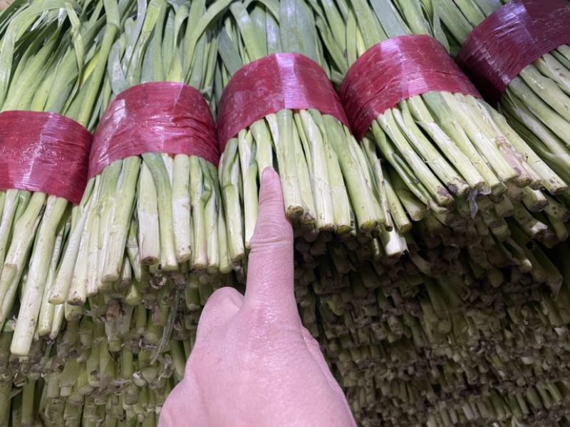 寿光精品韭菜，每天现割现收现包装，当天发货，质量嘎嘎好