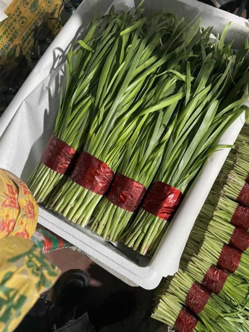 寿光精品韭菜，每天现割现收现包装，当天发货，质量嘎嘎好