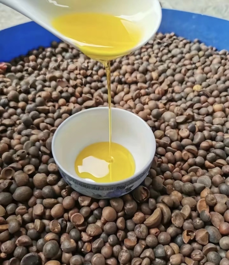 江西纯物理压榨精品山茶油