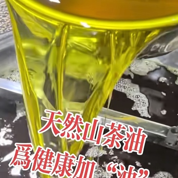 精品山茶油500斤