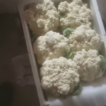 菜花