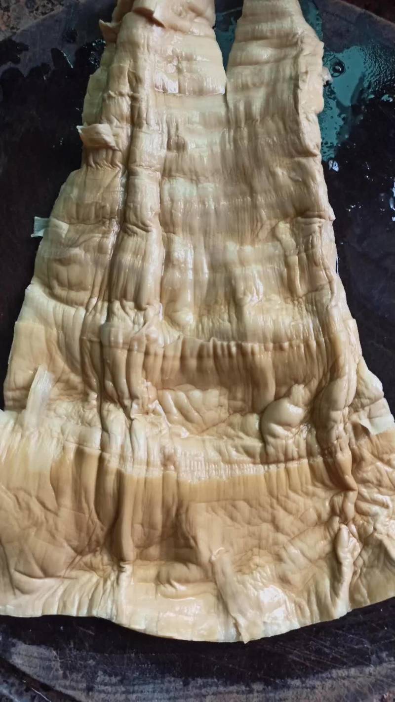麻竹笋干
