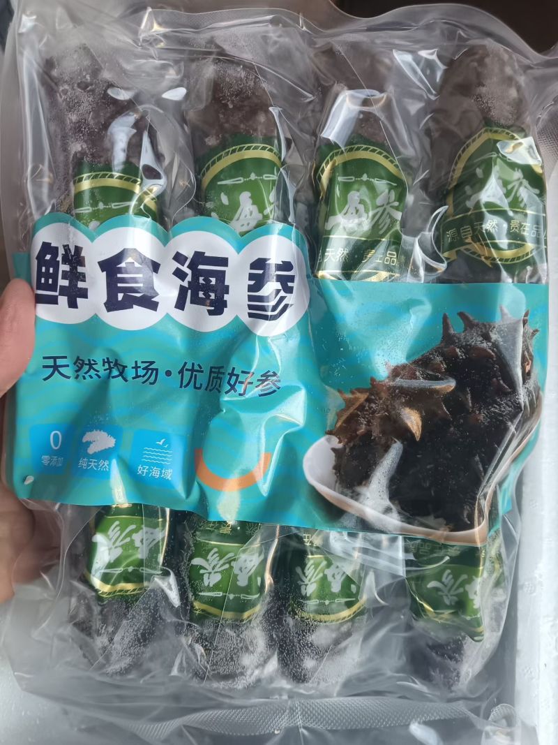 海参