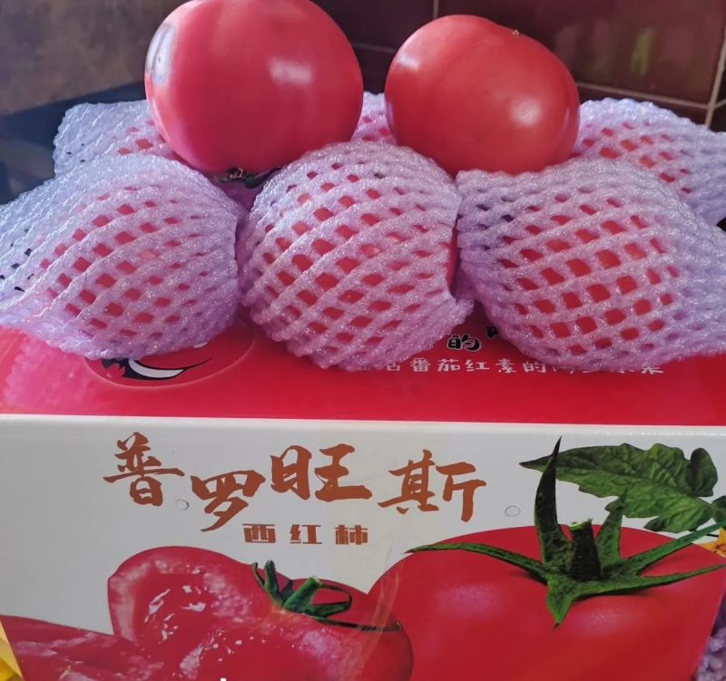 泾阳普罗旺斯西红柿
