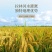 东北大米长粒香（中科发五）稻花香原产地直发