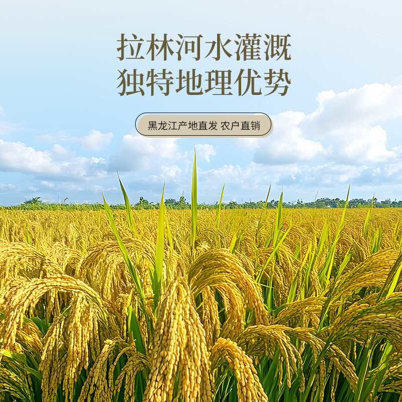 东北大米长粒香（中科发五）稻花香原产地直发