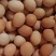 青龙溜达鸡🥚蛋