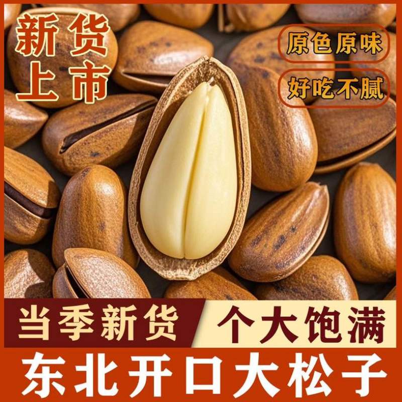 新货东北松大颗粒松子支持电商一件代发批量拿货