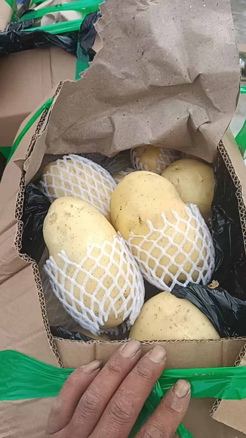 土豆