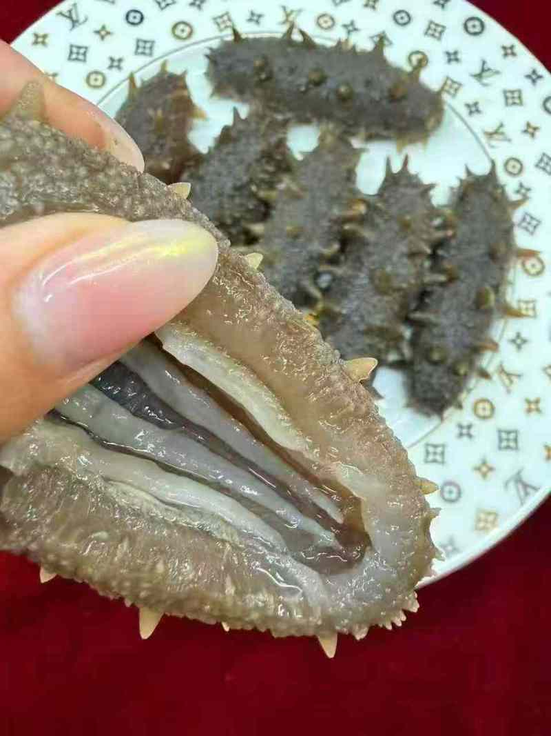 大海参