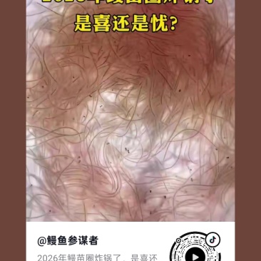 白鳗鱼苗批发