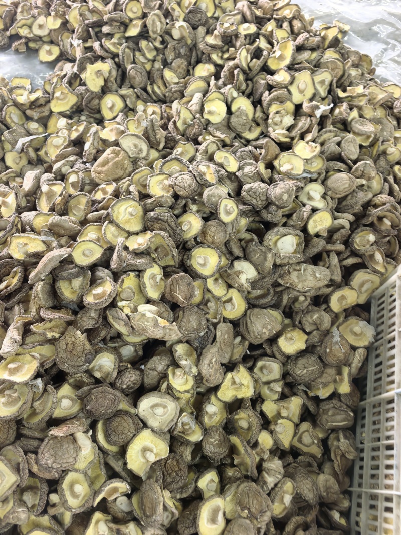 食用菌干货/干香菇/厂家直发/量大从优/诚信经营/一手货源