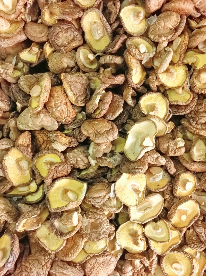 食用菌干货/干香菇/厂家直发/量大从优/诚信经营/一手货源
