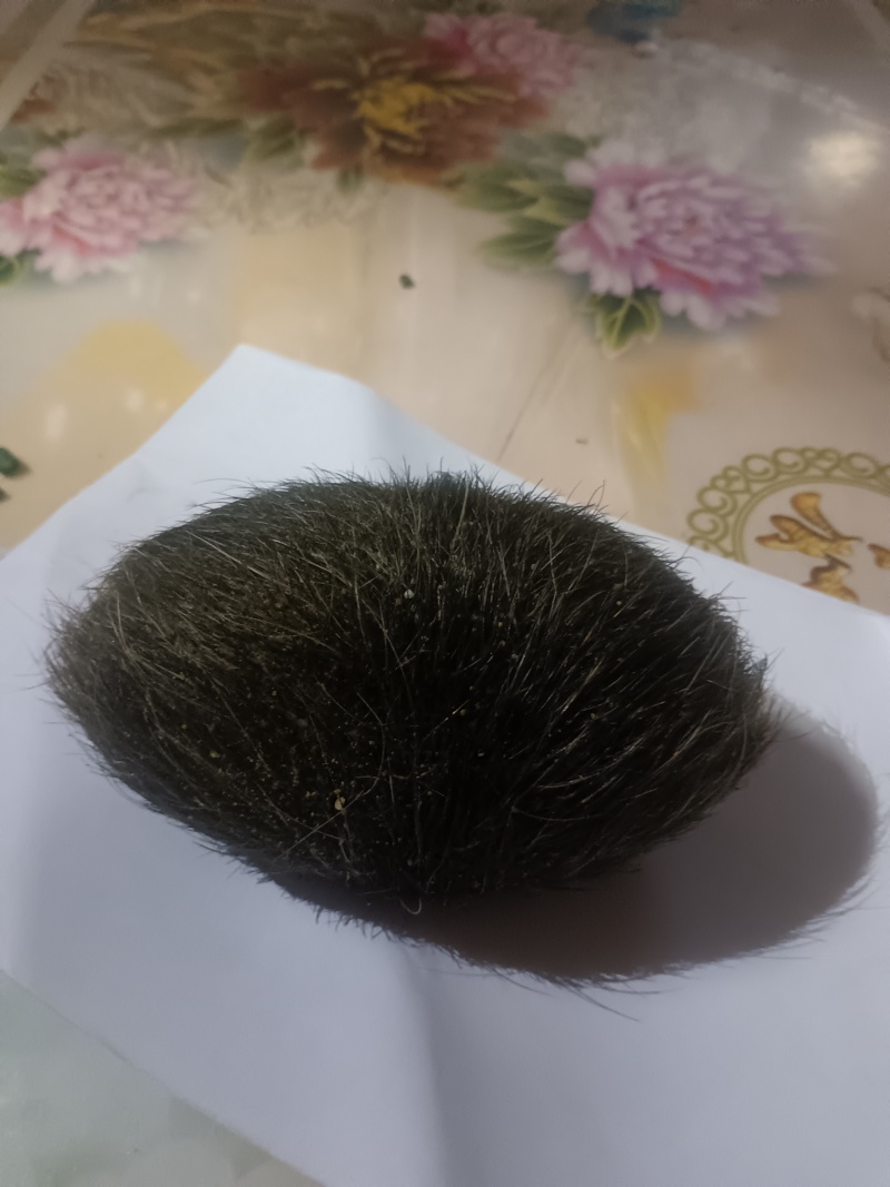 猪宝