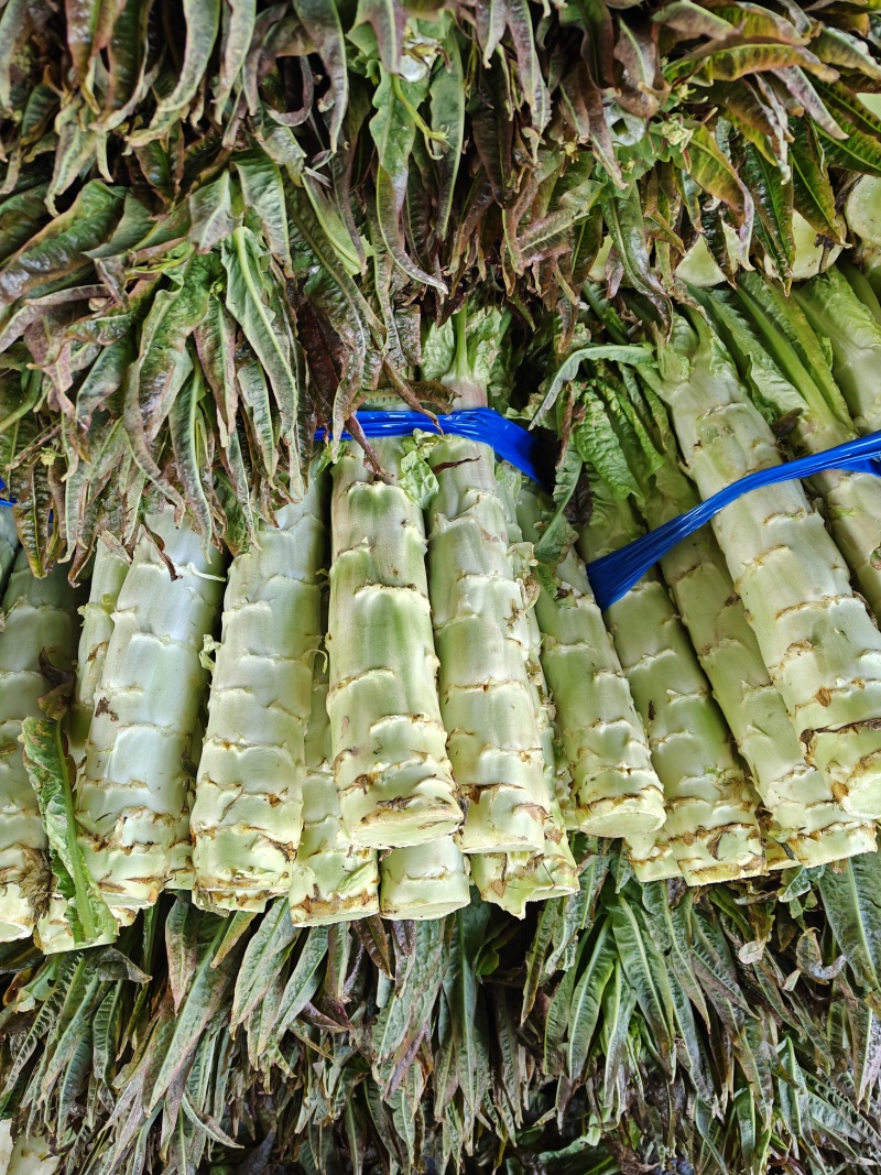 新鲜莴苣