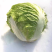 山东大白菜