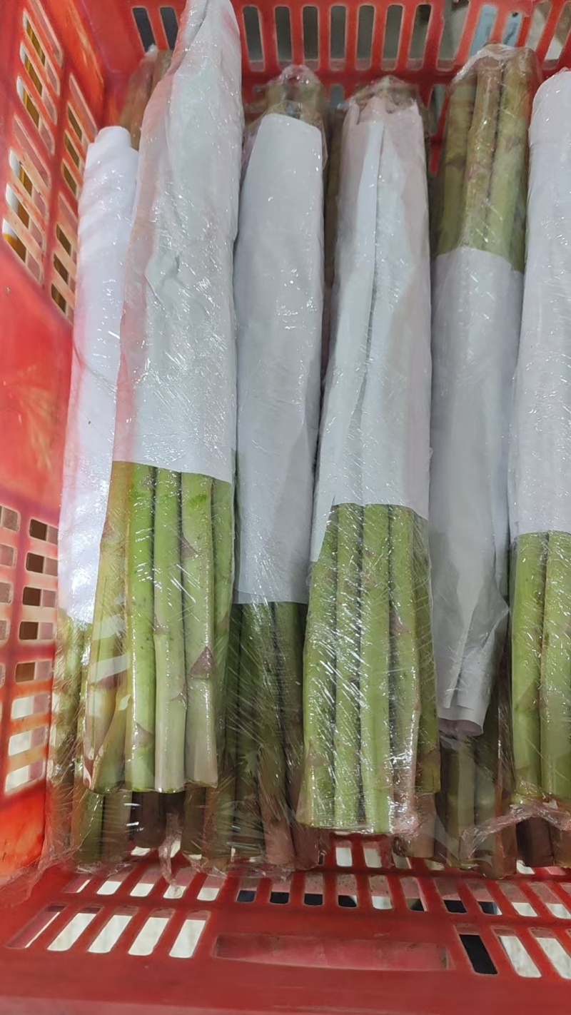 芦笋