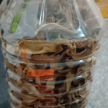 笋干