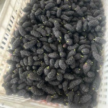 榨果汁的泡酒的来