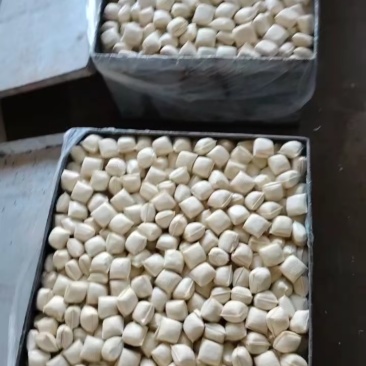 建水烧豆腐