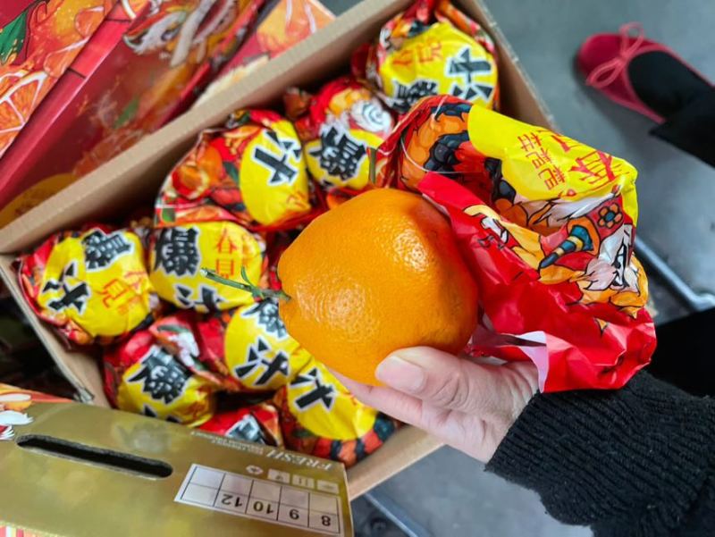 【处理】春见耙耙柑礼盒装约5KG，高次果，果径60-70mm