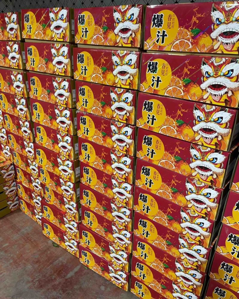 【处理】春见耙耙柑礼盒装约5KG，高次果，果径60-70mm