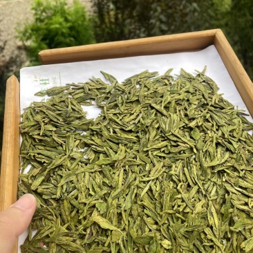 龙井茶叶，以及龙井加工项目合作