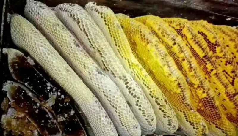 土蜂蜜