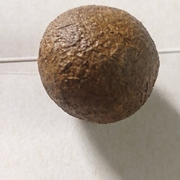 黑山羊羊宝