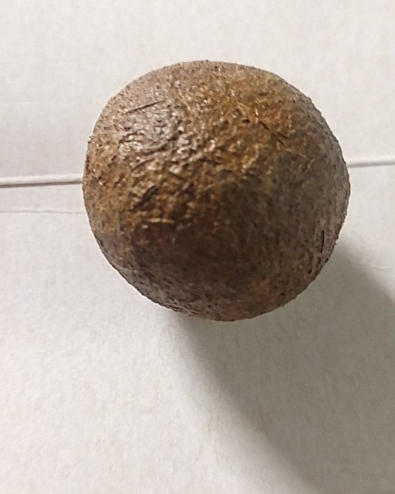 黑山羊羊宝