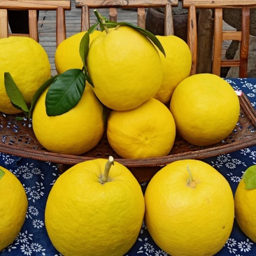 张家界菊花芯柚