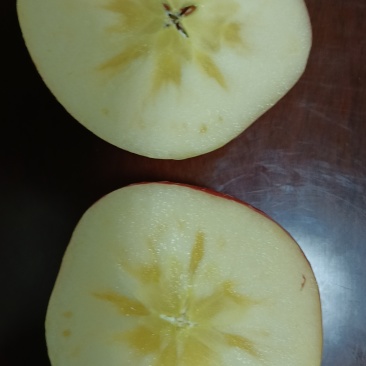 山西运城红富士